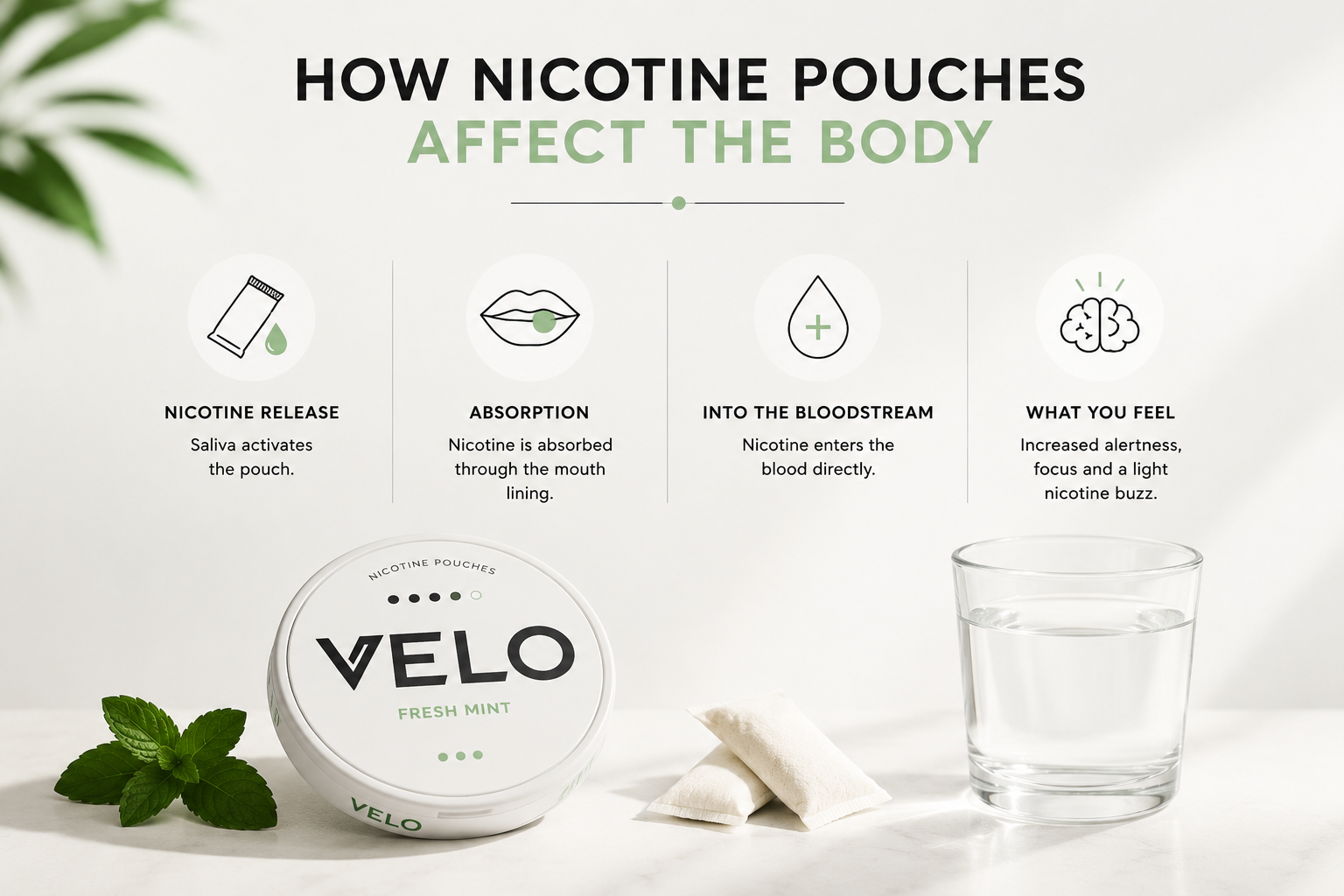 How Nicotine Pouches Affect the Body?