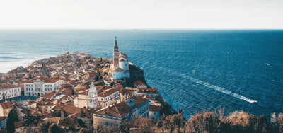 Nicotine Pouches and Snus in Slovenia