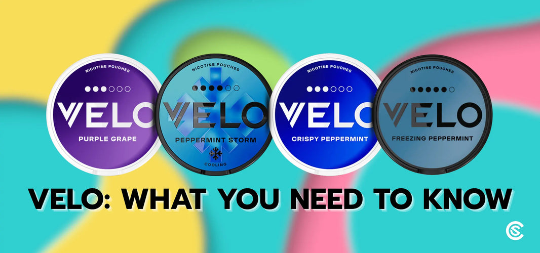 Velo Snus and Nicotine Pouches: What You Need To Know