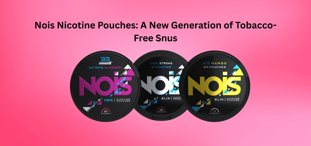 Buy Nois Snus Nicotine Pouches Snus Core