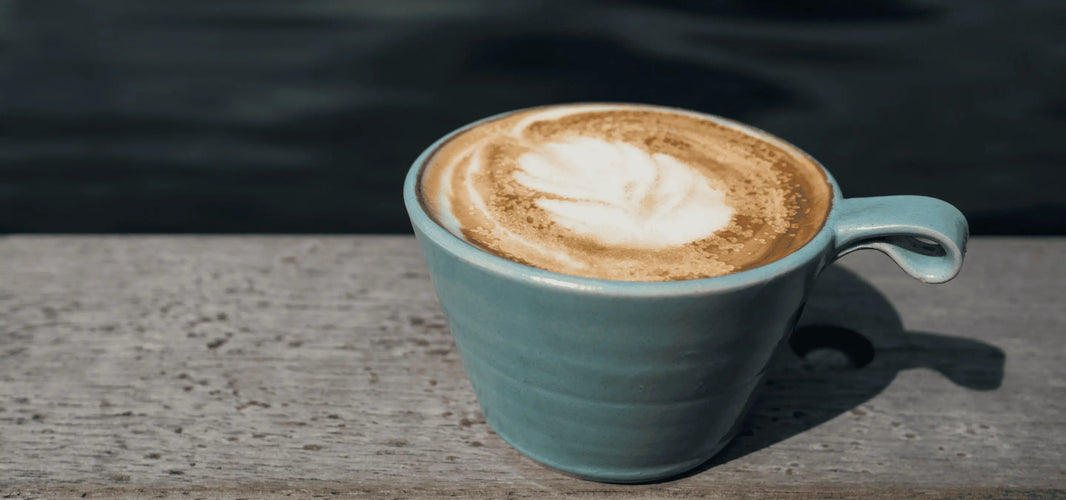 Nicotine vs Caffeine: What's the Difference and Which One Helps You Focus?