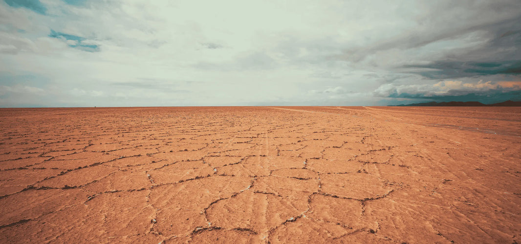 Why Your Nicotine Pouch Feels Too Dry (And How to Fix It)