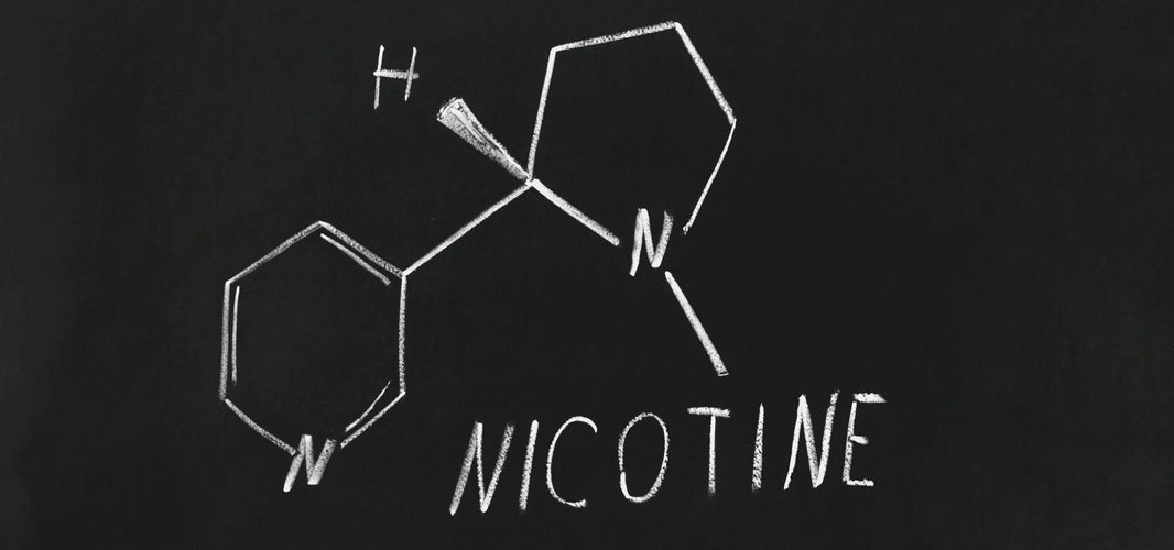 What Is Nicotine? A Beginner’s Guide to Nicotine and Nicotine Products