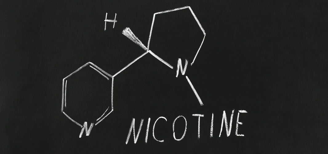 What Is Nicotine? A Beginner’s Guide to Nicotine and Nicotine Products