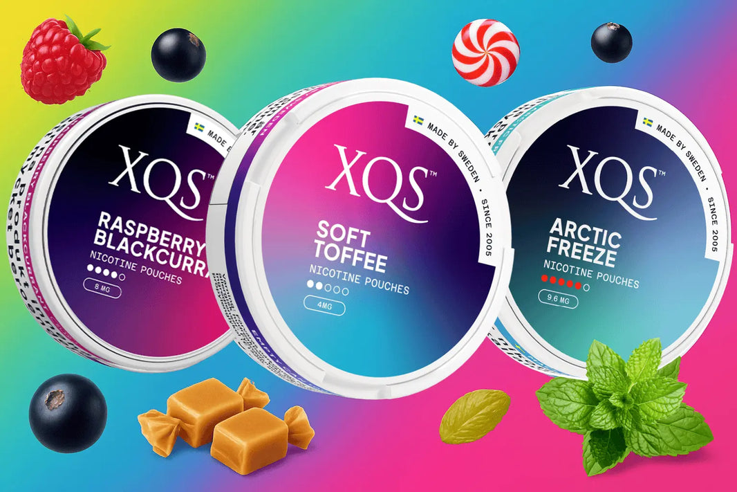 Buy XQS Nicotine Pouches Snus Core