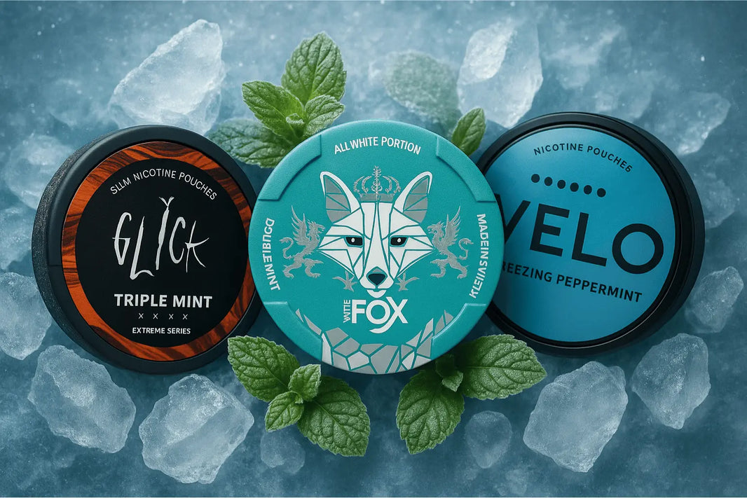 Best Mint Nicotine Pouches: Glick, Velo, White Fox