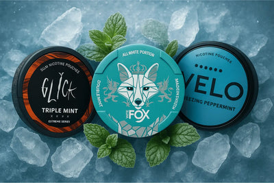Best Mint Nicotine Pouches: Glick, Velo, White Fox