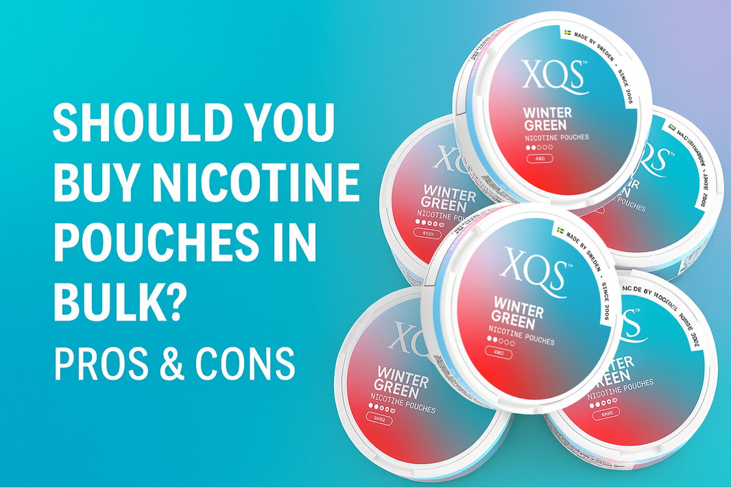 Should You Buy Nicotine Pouches in Bulk? Pros & Cons