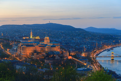 The Rise of Nicotine Pouches and Snus in Hungary