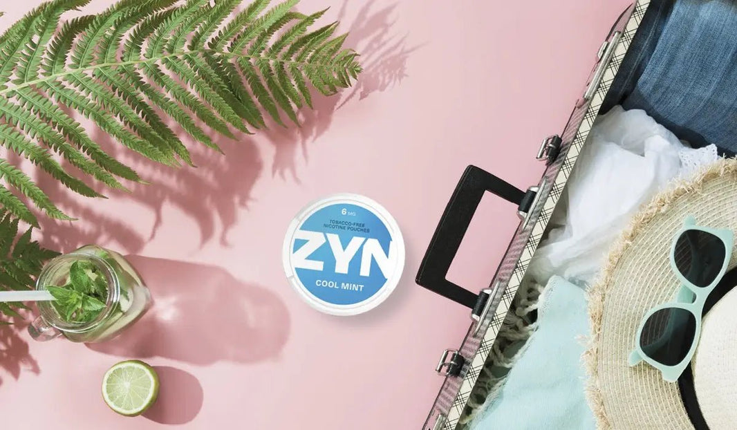 What are Zyn pouches? Everything you need to know - Snus Core