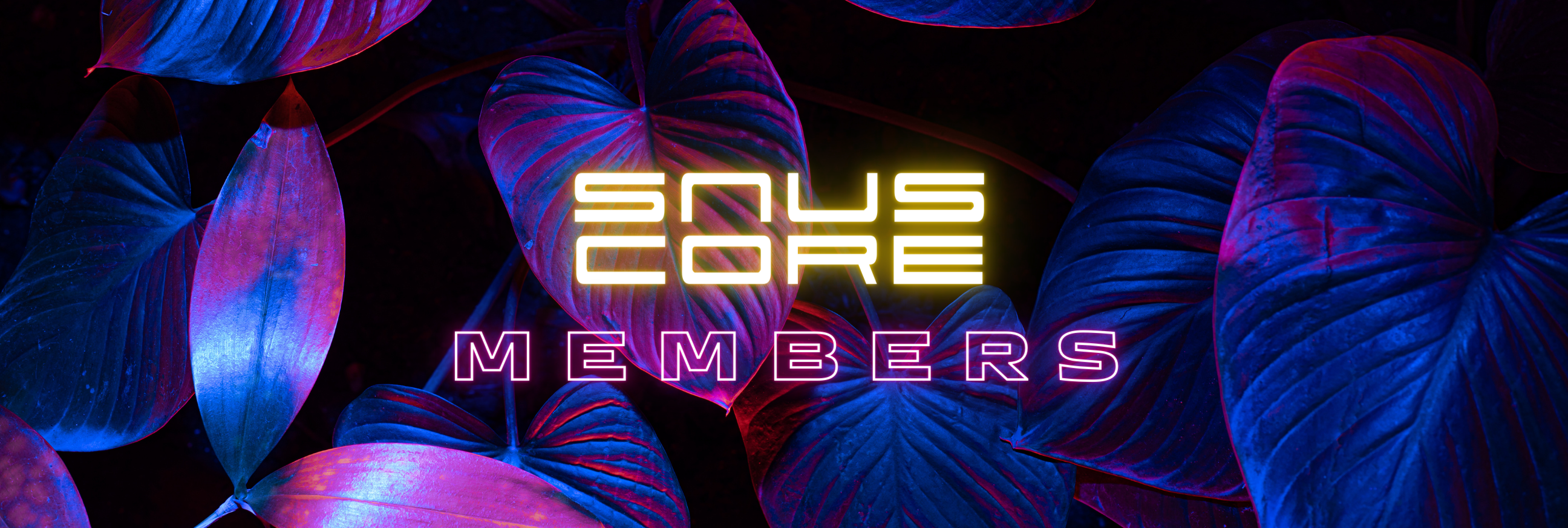 Members Snus Core Nicotine Pouches