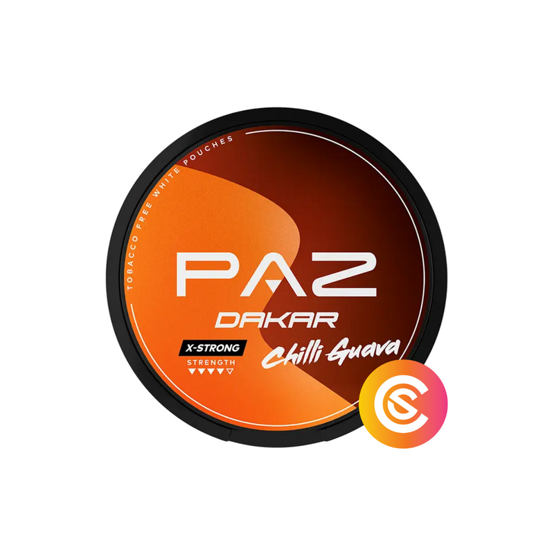 PAZ Racing Dakar